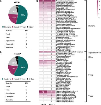 Comparison of metagenomic next-generation sequencing using cell-free DNA and whole-cell DNA for the diagnoses of pulmonary infections